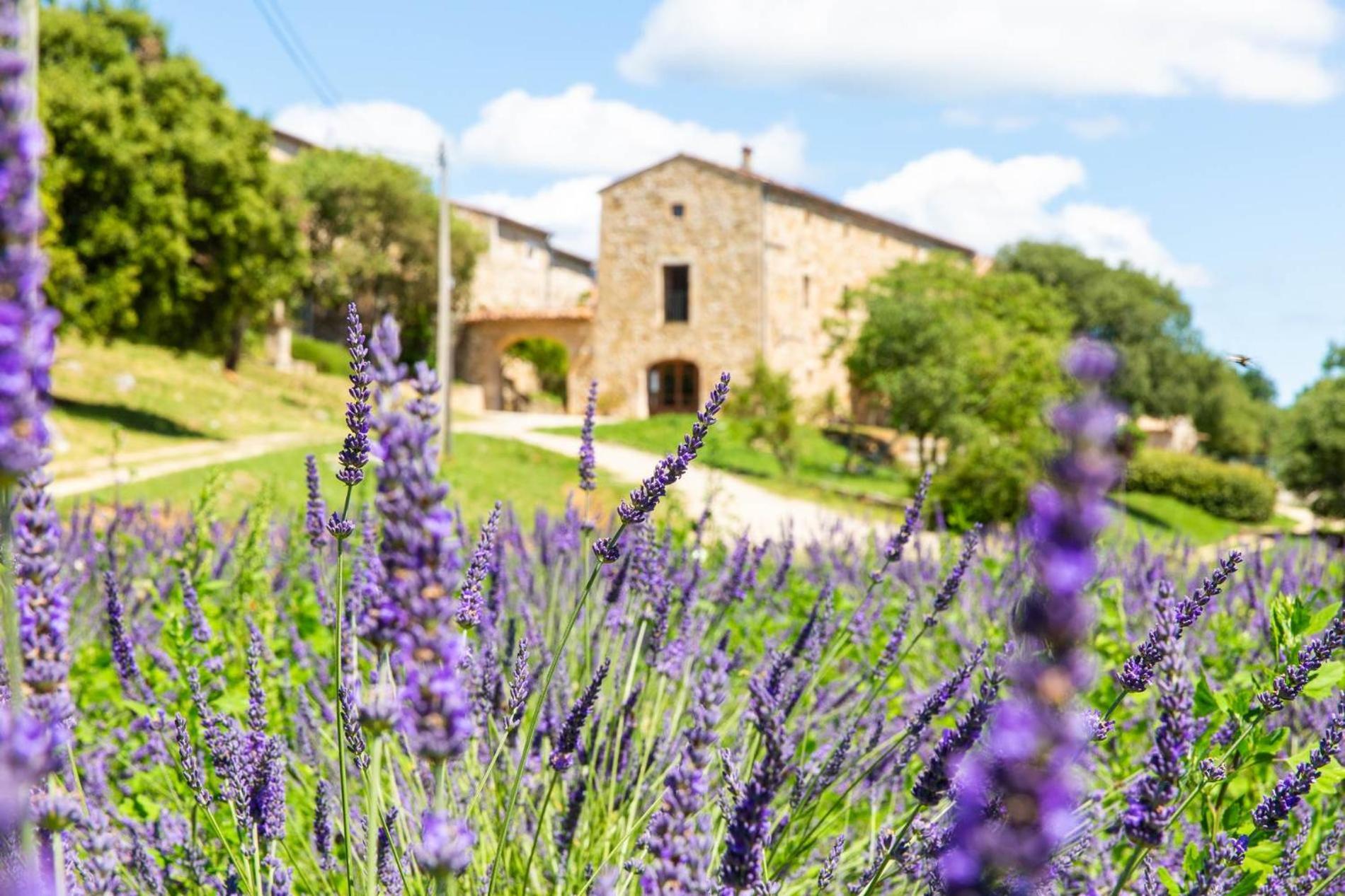 Domaine De L Astic Villa Vallon-Pont-dʼArc Екстериор снимка